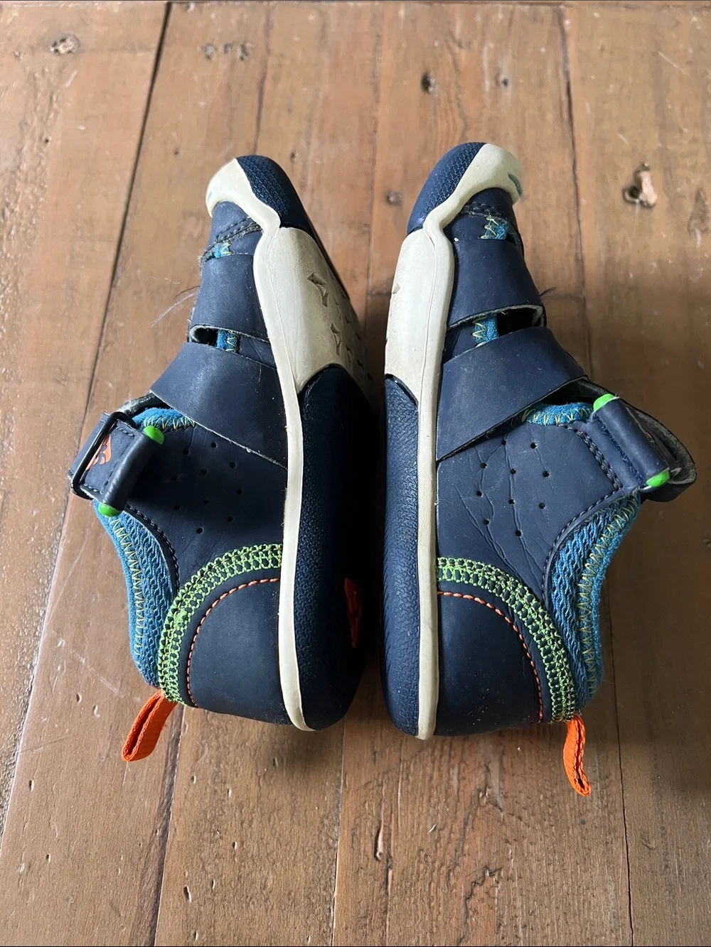PLAE blue green